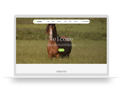 PBOOTCMS养马场畜牧业英文网站模板马匹饲养养殖场网站模板下载(自适应手机端)