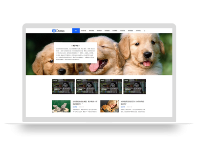 PBOOTCMS响应式宠物资讯个人博客创业经验类网站模板源码【自适应手机端】
