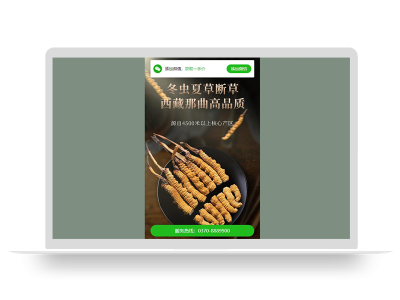 (独立手机版)营销推广落地页pbootcms模板 落地页单页网站源码下载